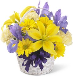 Spirit of Spring Basket from Maplehurst Florist, local flower shop in Essex Junction